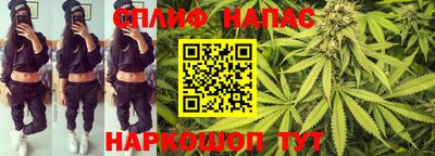стаф Анапа