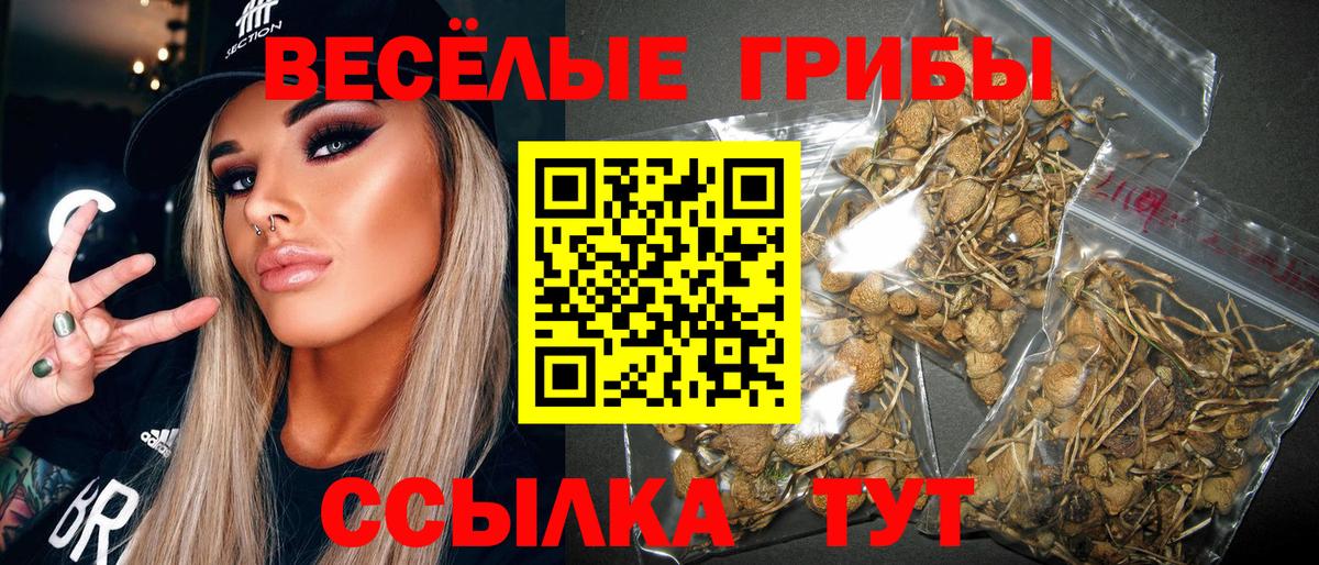 Брянск  Псилоцибиновые грибы MAGIC MUSHROOMS  Псилоцибиновые грибы мицелий  Вход с VPN 