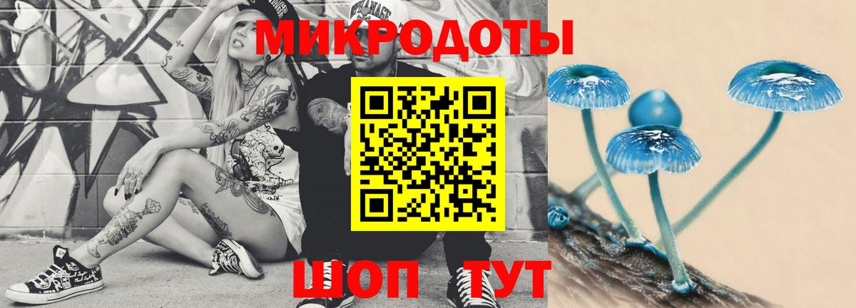 Галлюциногенные грибы мухоморы Брянск